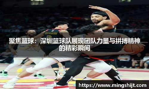 星空体育(中国)官方网站