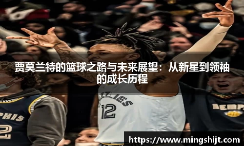 星空体育网站入口